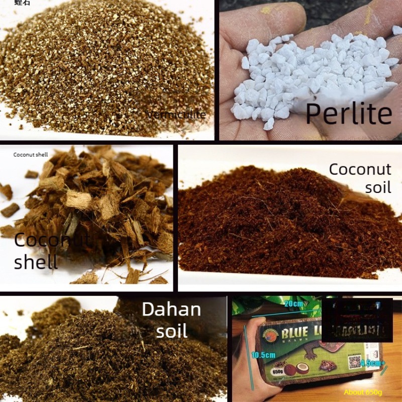 Sphagnum Moss Dry - Substrato in Fibra di Cocco per
