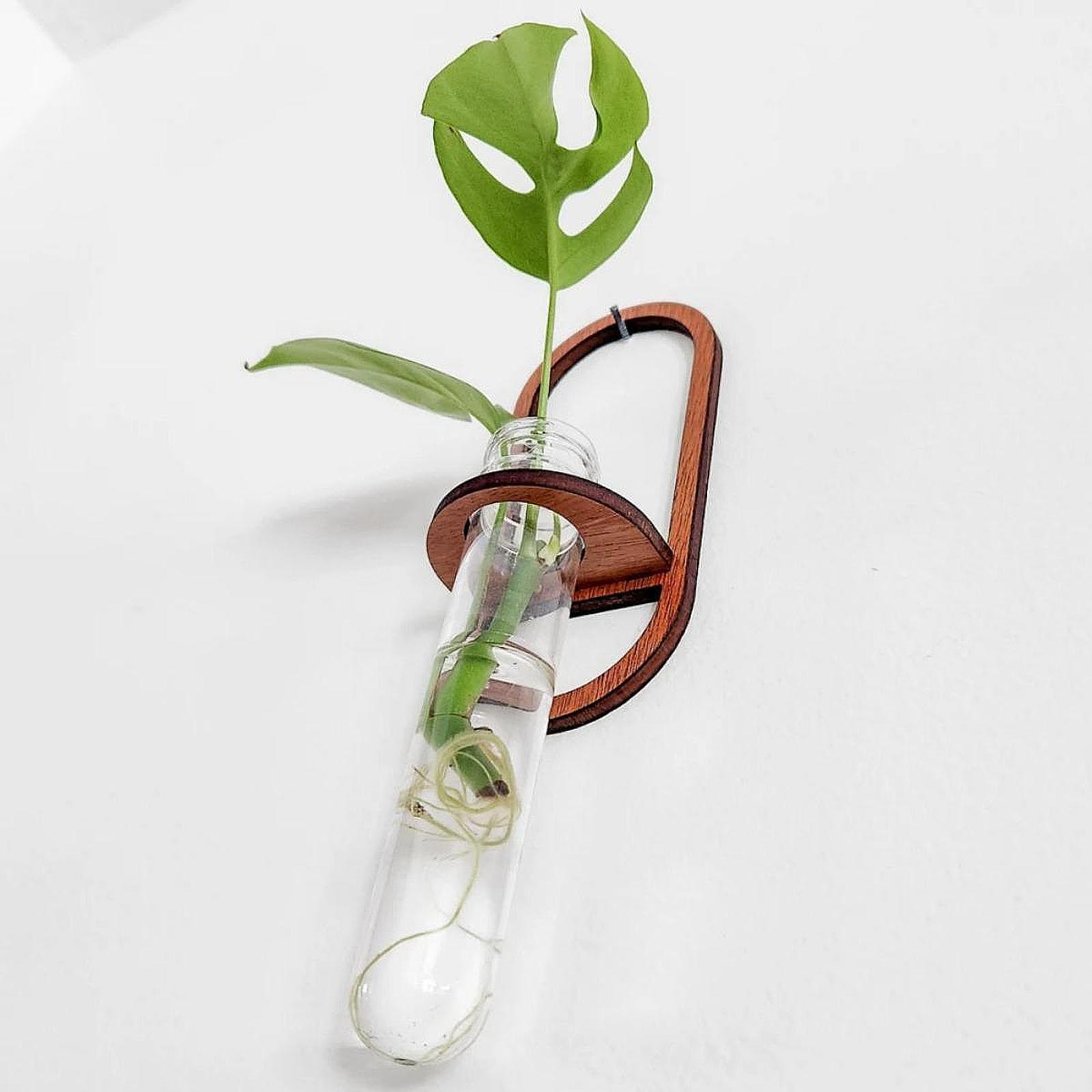 Propagation Station Vase - Vaso per piante idroponiche, mensola da