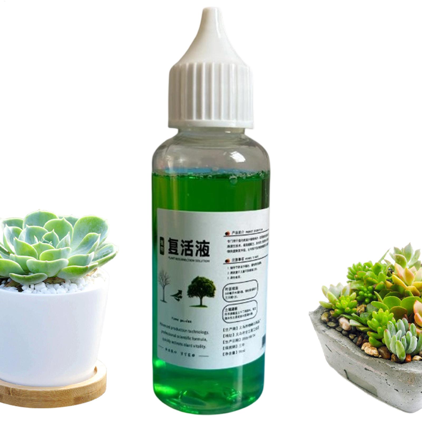Root Stimulator Liquid - Stimolatore di Radici per Piante, Agente