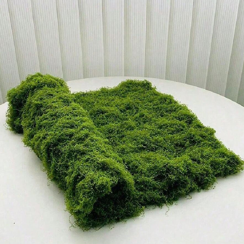 Sphagnum Moss Dry - 1*1m Muschio Finto Artigianato FAI DA