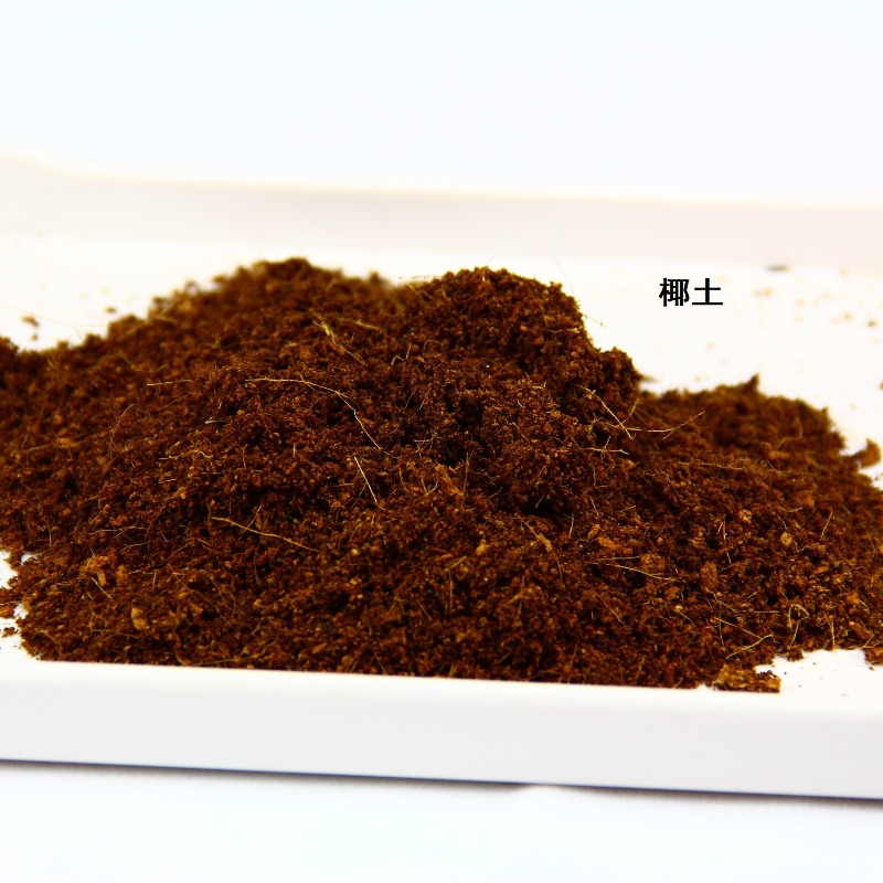 Substrato in Fibra di Cocco pe - Sphagnum Moss Dry recensione e prezzo