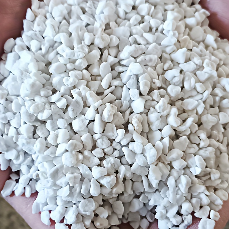 1 Confezione di Perlite da Gia - Sphagnum Moss Dry recensione e prezzo