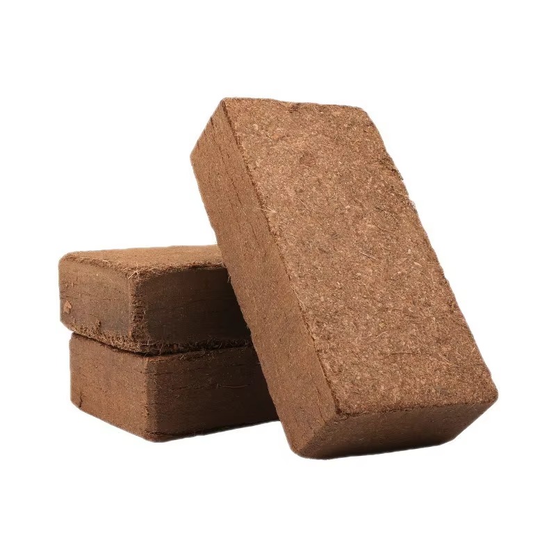 Telo di cocco compresso per re - Sphagnum Moss Dry recensione e prezzo