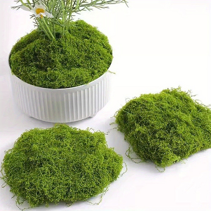 Muschio Finto Verde per Artigi - Sphagnum Moss Dry recensione e prezzo