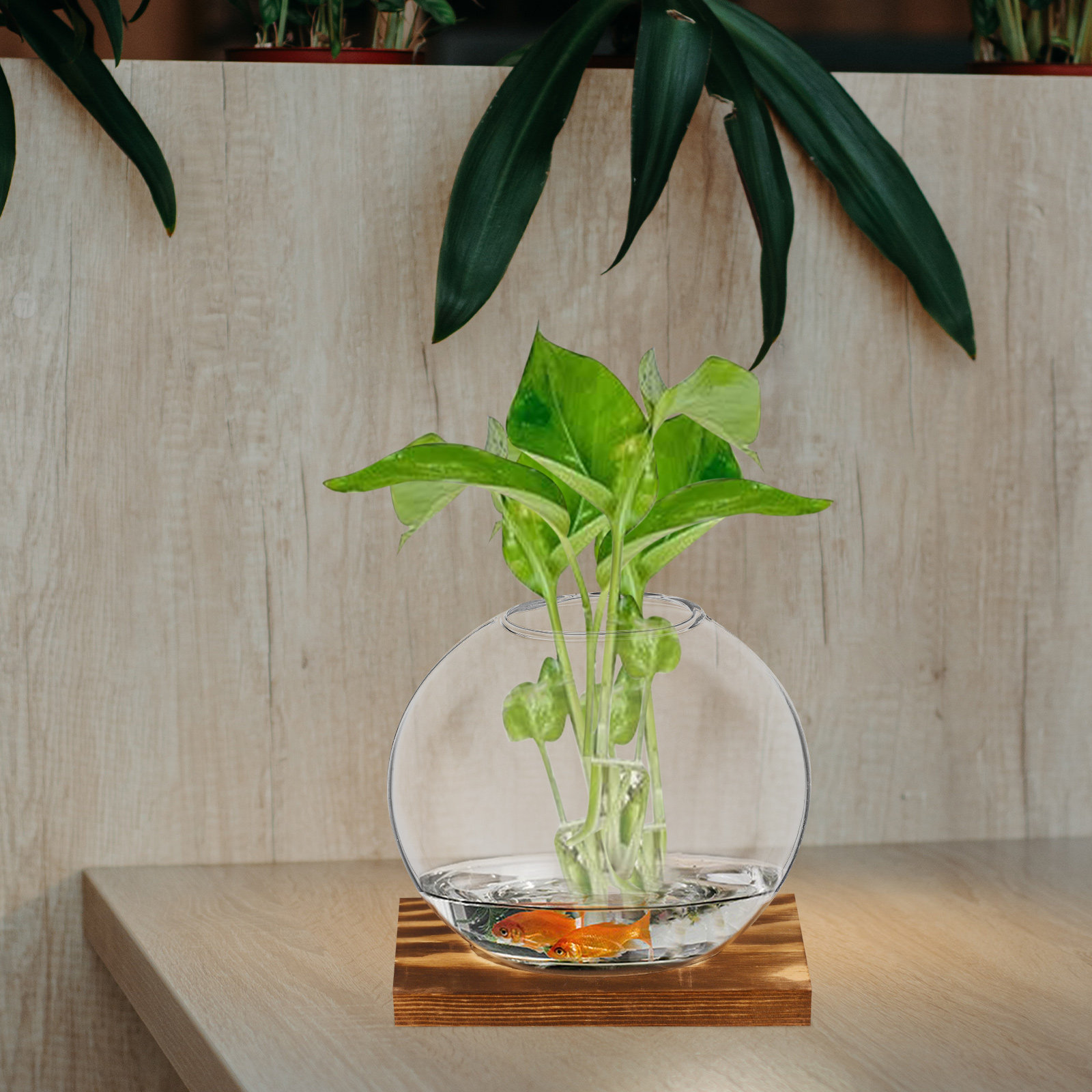 2 set di piccoli vasi in vetro - Propagation Station Vase recensione e prezzo
