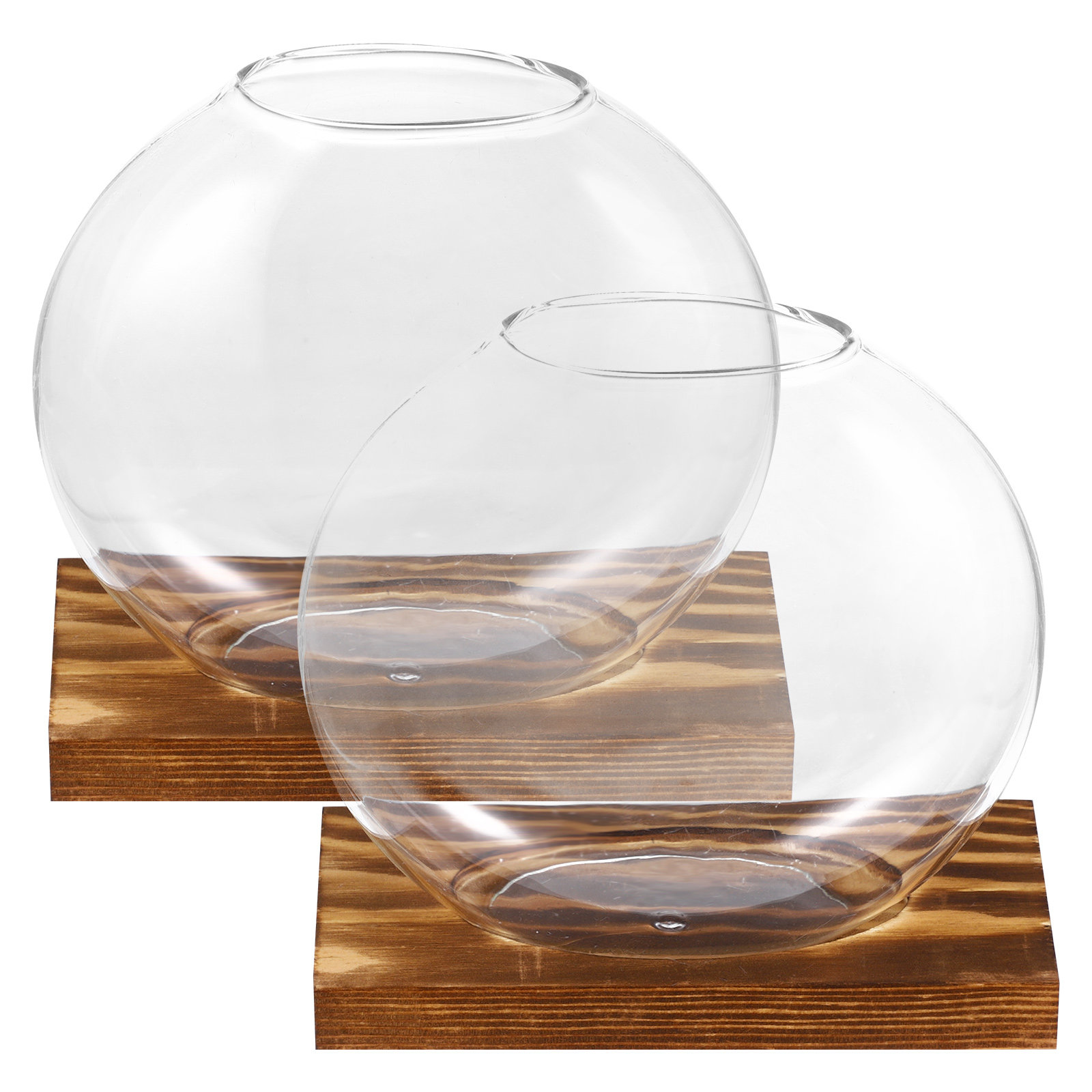 2 set di piccoli vasi in vetro - Propagation Station Vase recensione e prezzo